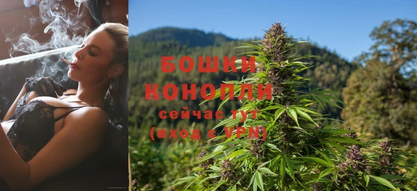 кокаин колумбия Богданович