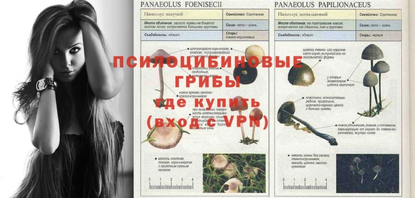 кокаин колумбия Богданович