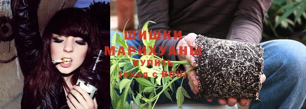 прущая мука Богородск